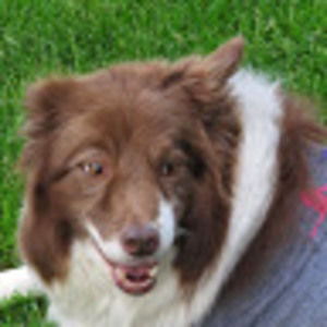 Meet your Posher, Lili